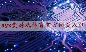 DK-100型电子管功率放大器：如何在演唱会现场营造震撼的音乐氛围？